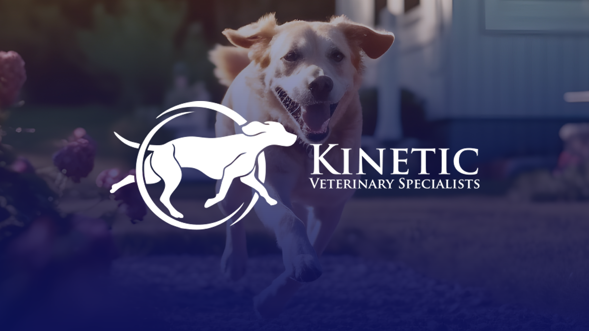 Contact Us - Kinetic Veterinary Specialists